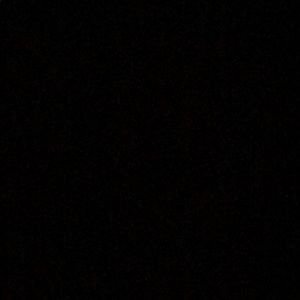 Meet your Posher, Freddy